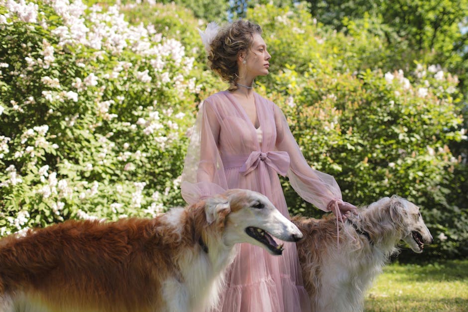 Borzoi