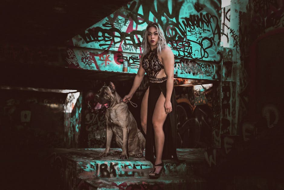 Cane Corso