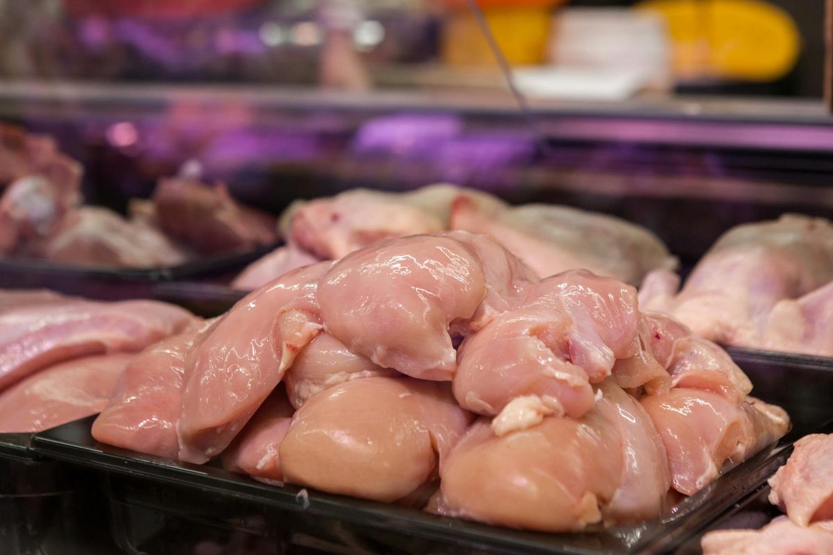 The Most Common Dog Food Ingredients Explained