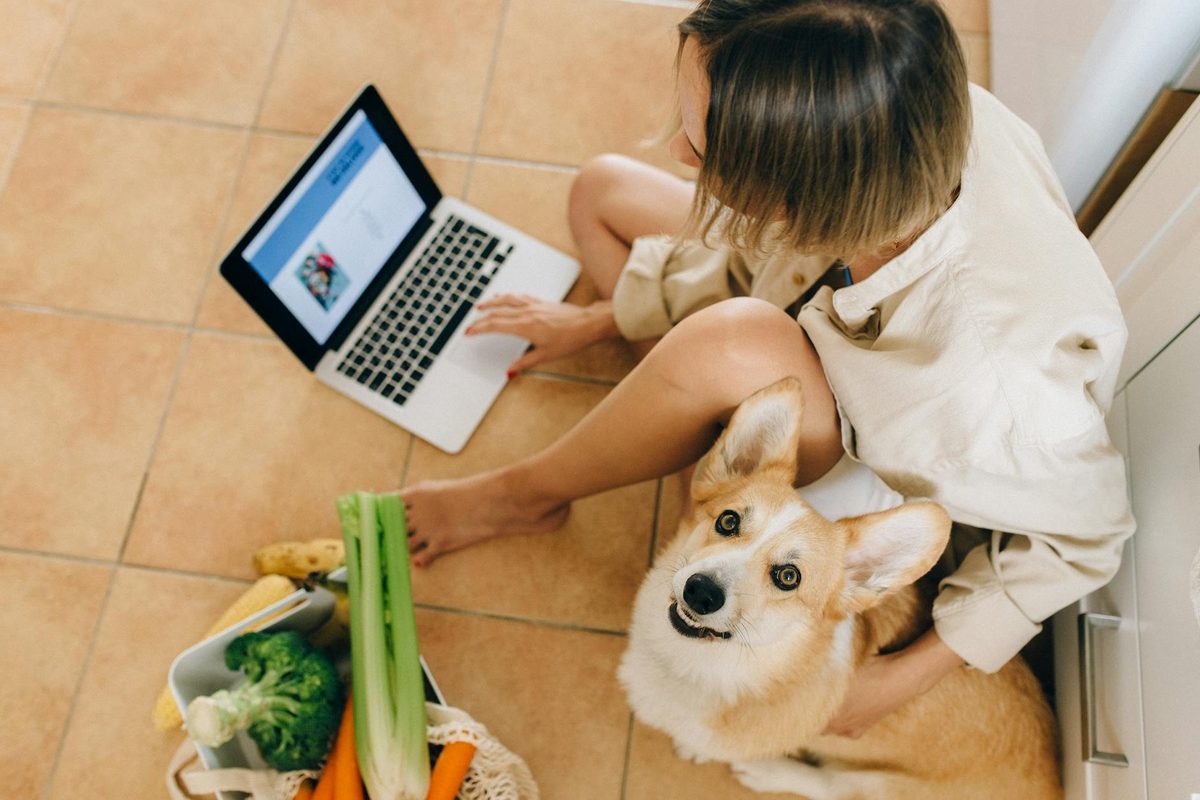 Dog Food Subscription Services in the UK: Are They Worth the Cost?