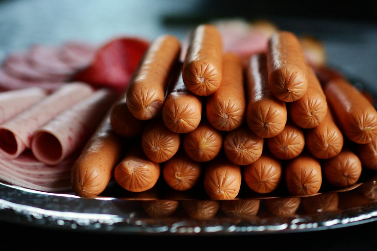 Understanding Meat Meals in Dog Food: What They Are and Whether to Avoid Them