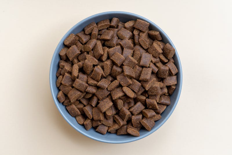 Dog food with fresh ingredients