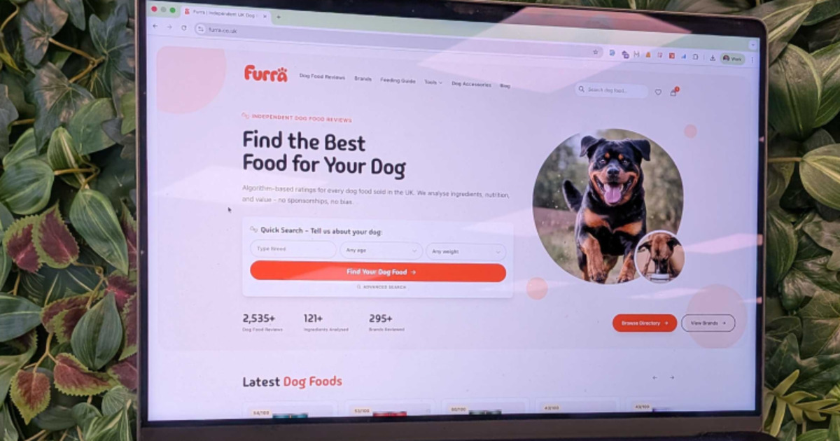 Furra Is Live: Why We Built an Independent Dog Food Review Platform