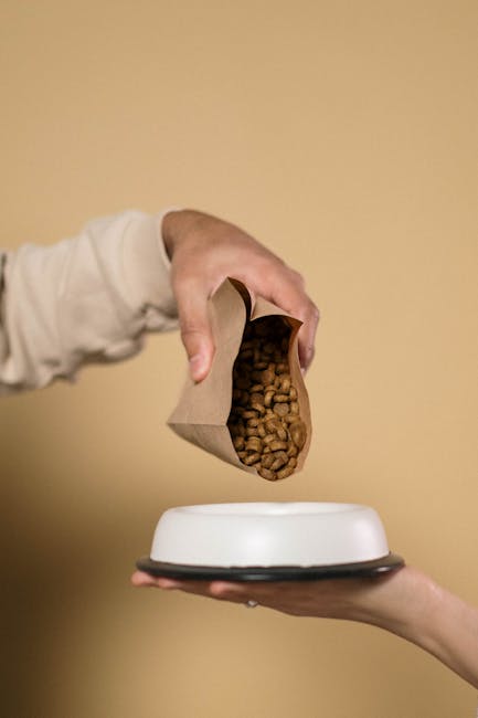 Pouring dog food into bowl